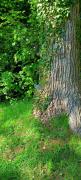 IMG20250430104508-1mo