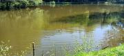 IMG20250430110326-1mo