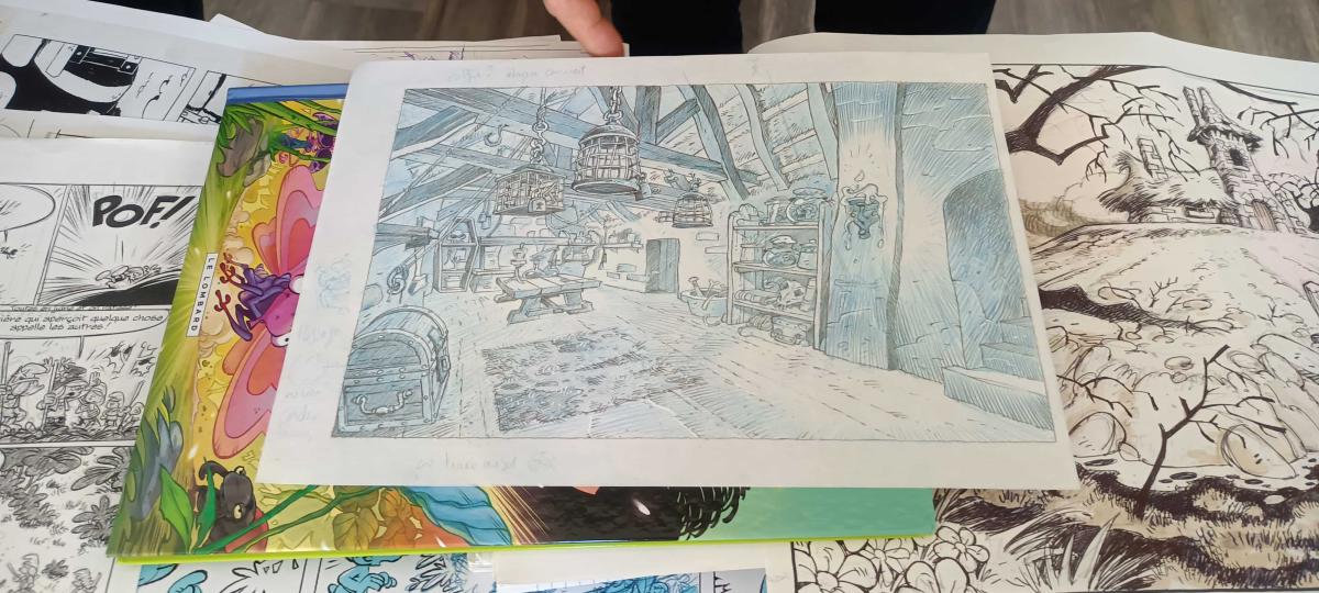 IMG20251122101226-1mo