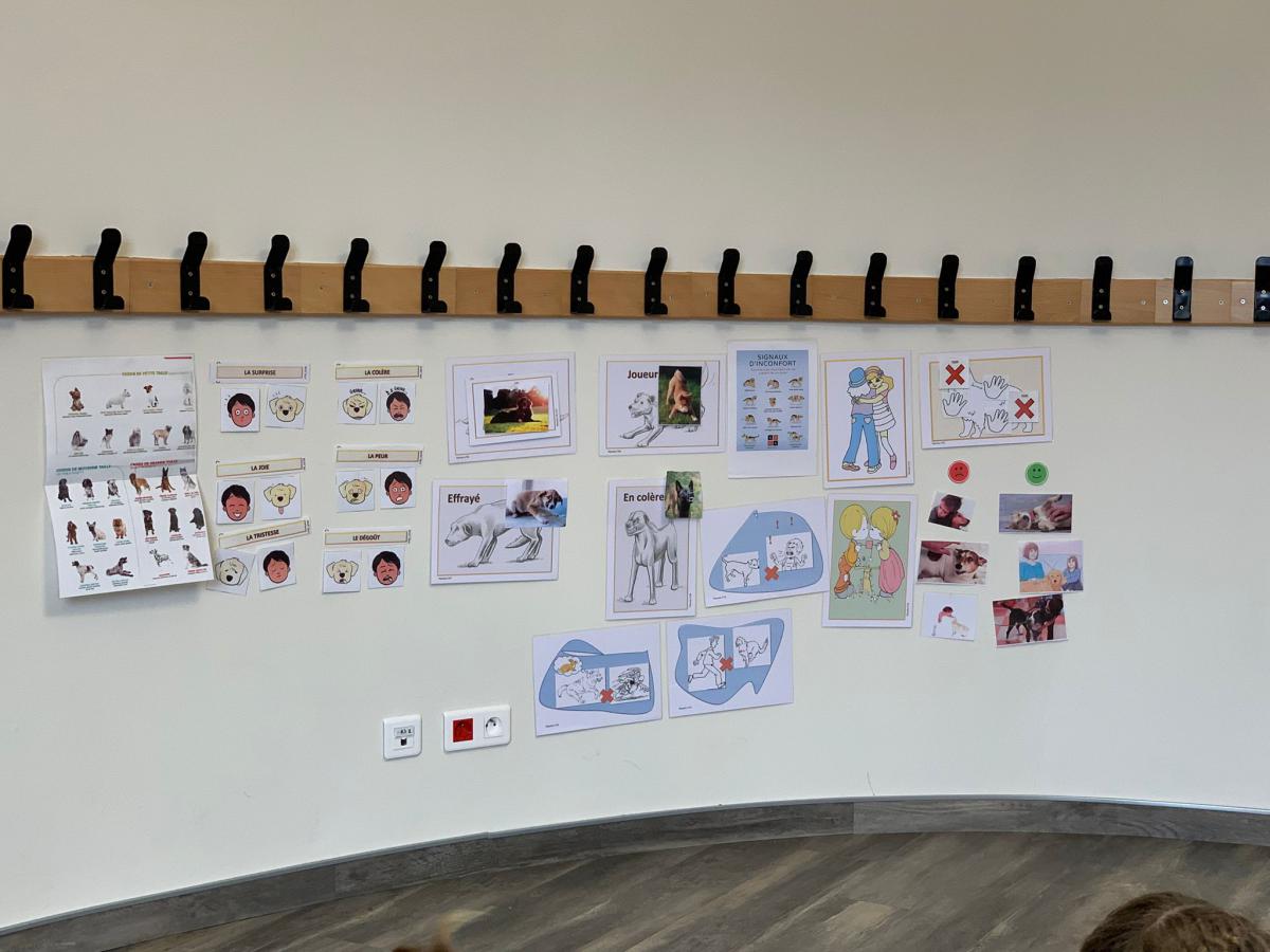 motionphoto3354173296395615703