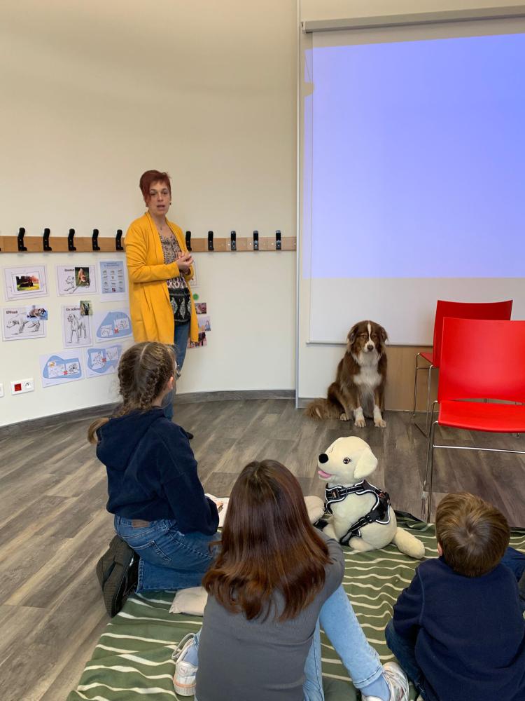 motionphoto4699569144205120201